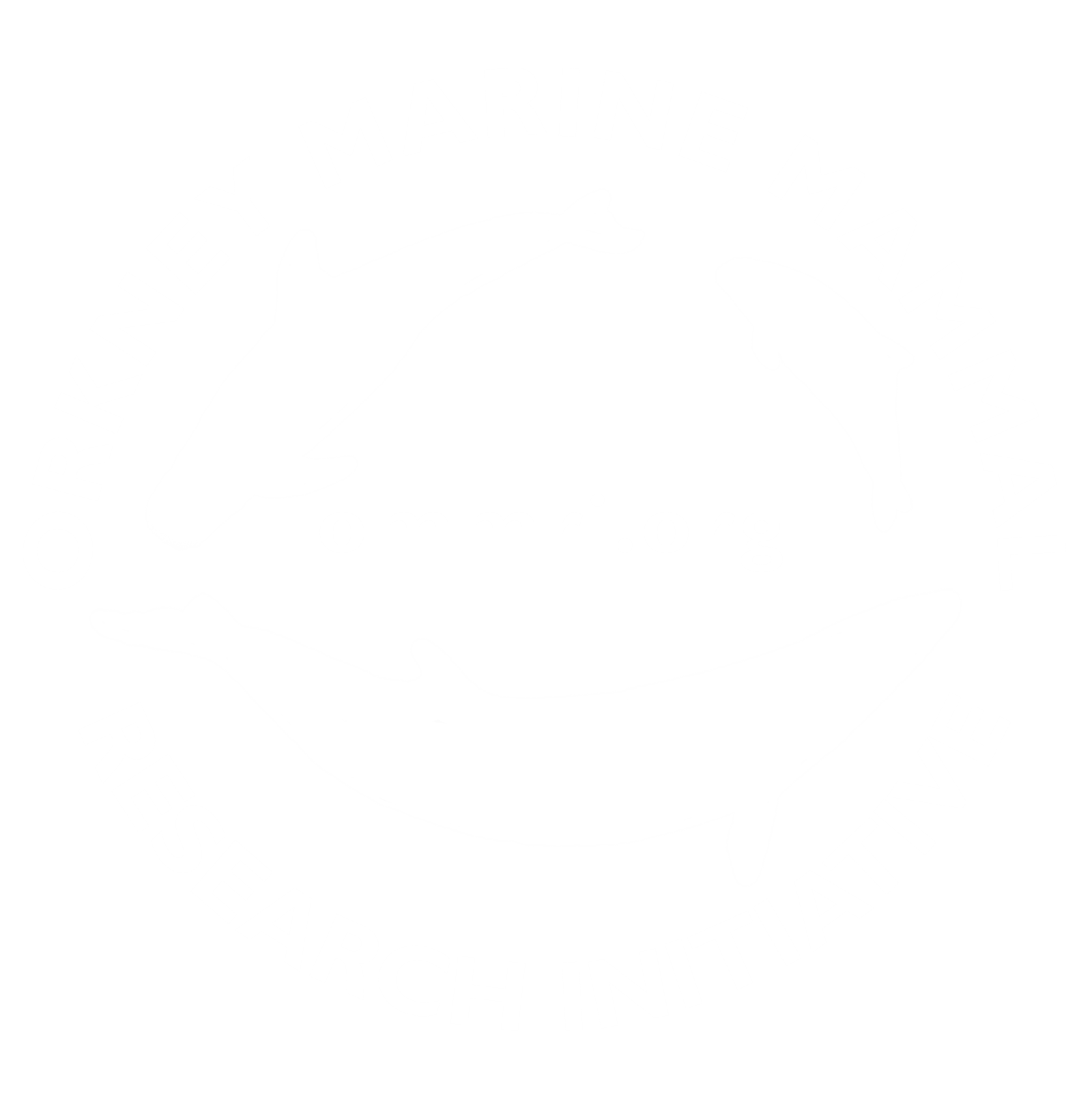 OMMRI Logo_NEW_WHITE